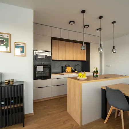 Zlata Kabelka Appartement Plzeň
